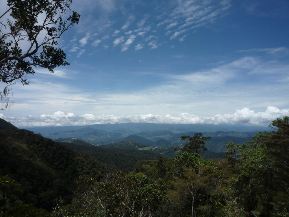 View The Mountains